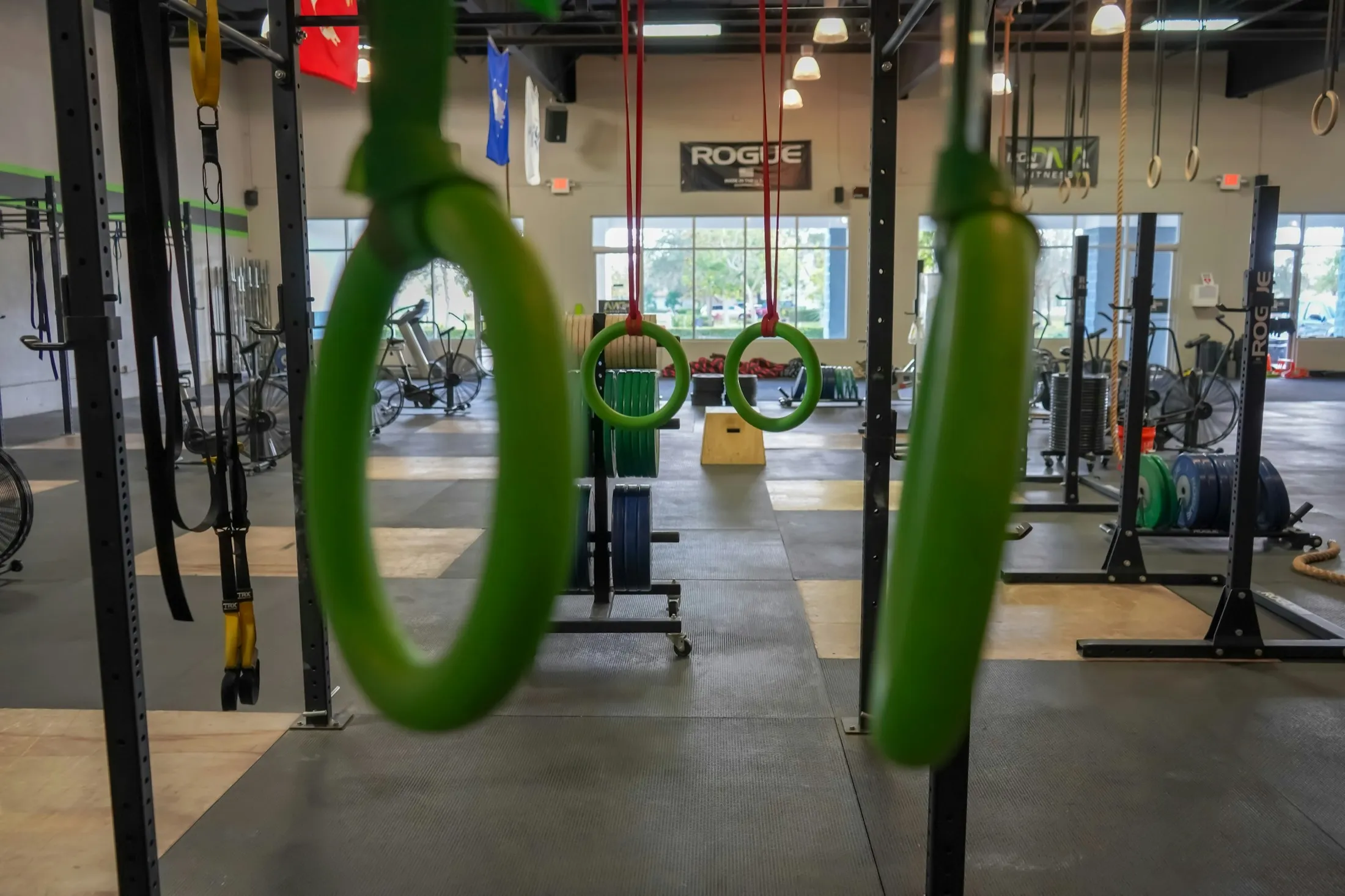 Estructura de entrenamiento con anillas y racks al fondo